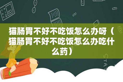 猫肠胃不好不吃饭怎么办呀（猫肠胃不好不吃饭怎么办吃什么药）