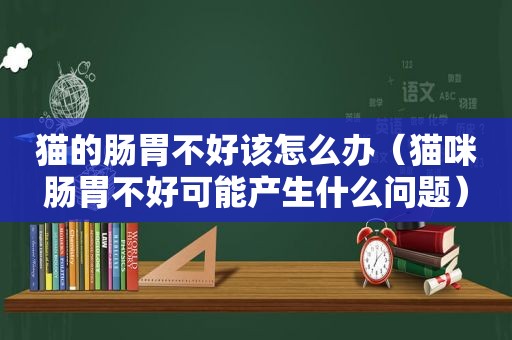 猫的肠胃不好该怎么办（猫咪肠胃不好可能产生什么问题）