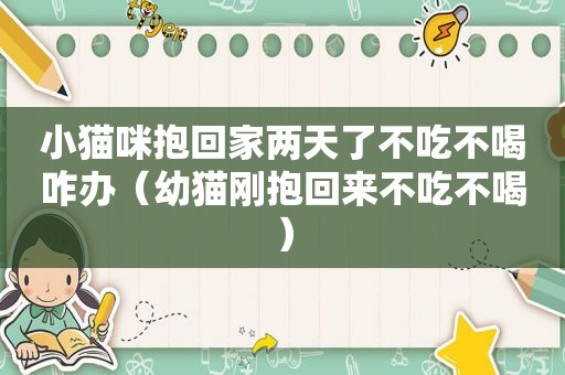 小猫咪抱回家两天了不吃不喝咋办（幼猫刚抱回来不吃不喝）