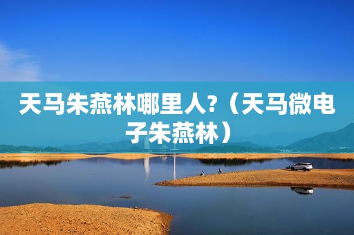 天马朱燕林哪里人?（天马微电子朱燕林）