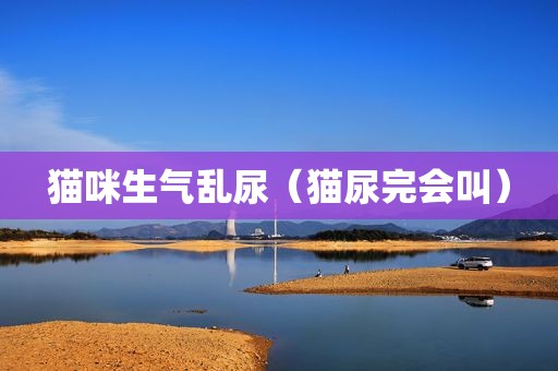 猫咪生气乱尿（猫尿完会叫）