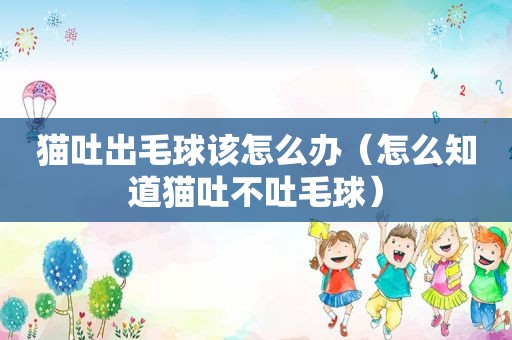 猫吐出毛球该怎么办（怎么知道猫吐不吐毛球）