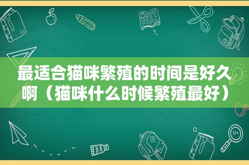 最适合猫咪繁殖的时间是好久啊（猫咪什么时候繁殖最好）