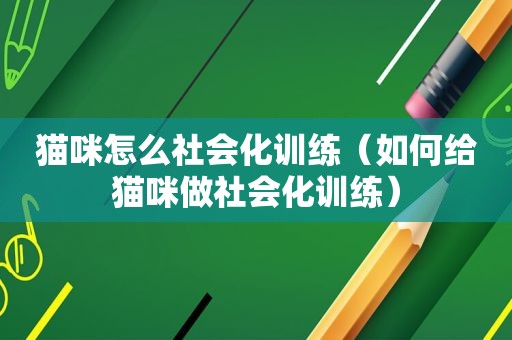 猫咪怎么社会化训练（如何给猫咪做社会化训练）