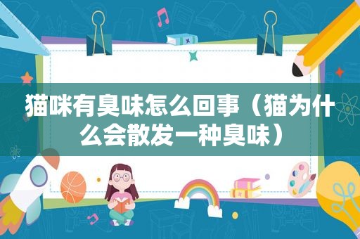 猫咪有臭味怎么回事（猫为什么会散发一种臭味）
