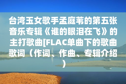 台湾玉女歌手孟庭苇的第五张音乐专辑《谁的眼泪在飞》的主打歌曲[FLAC单曲下的歌曲歌词（作词、作曲、专辑介绍）