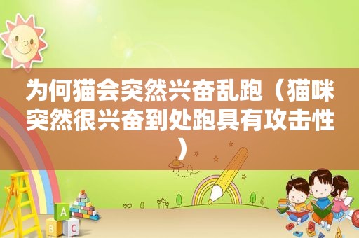 为何猫会突然兴奋乱跑（猫咪突然很兴奋到处跑具有攻击性）
