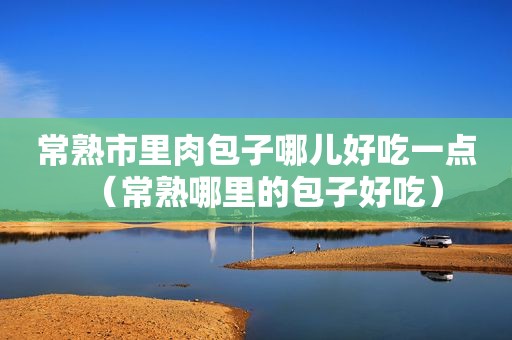 常熟市里肉包子哪儿好吃一点（常熟哪里的包子好吃）