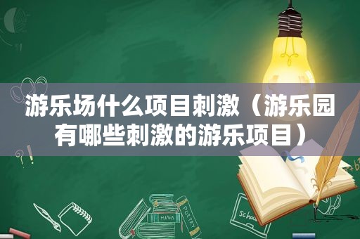 游乐场什么项目 *** （游乐园有哪些 *** 的游乐项目）