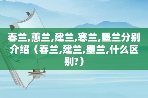 春兰,蕙兰,建兰,寒兰,墨兰分别介绍（春兰,建兰,墨兰,什么区别?）