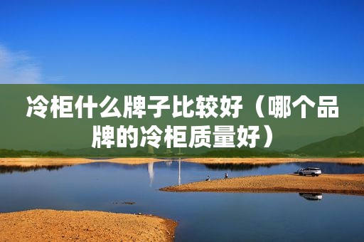 冷柜什么牌子比较好（哪个品牌的冷柜质量好）