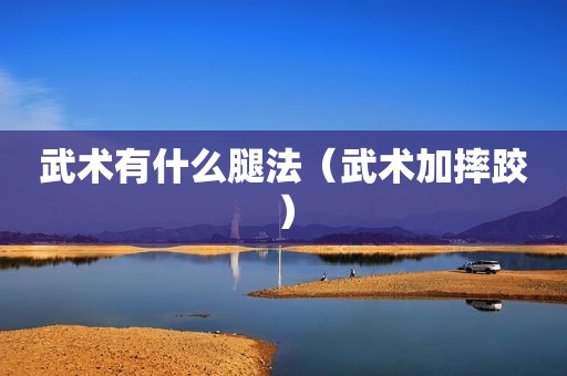 武术有什么腿法（武术加摔跤）