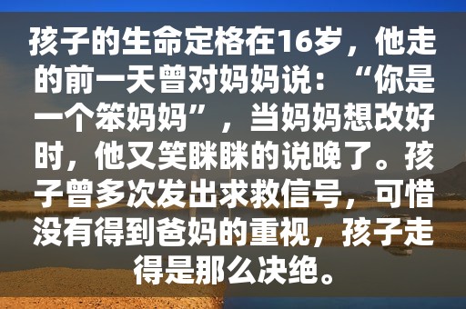 孩子的生命定格在16岁，他走的前一天曾对妈妈说：“你是一个笨妈妈”，当妈妈想改好时，他又笑眯眯的说晚了。孩子曾多次发出求救信号，可惜没有得到爸妈的重视，孩子走得是那么决绝。
