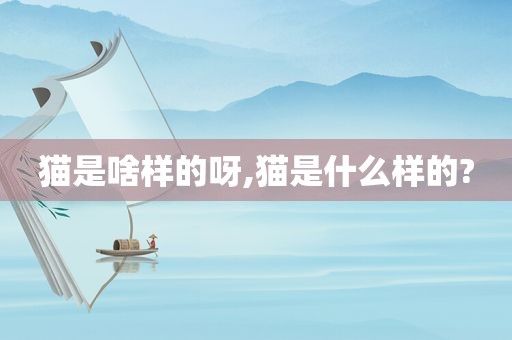猫是啥样的呀,猫是什么样的?