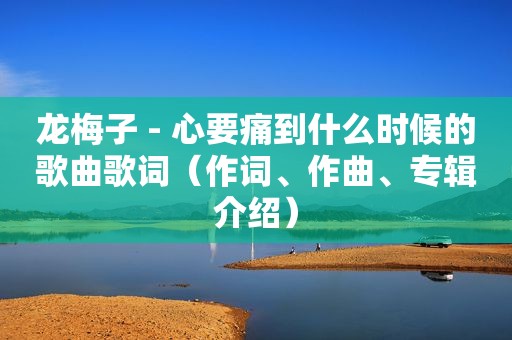 龙梅子 - 心要痛到什么时候的歌曲歌词（作词、作曲、专辑介绍）