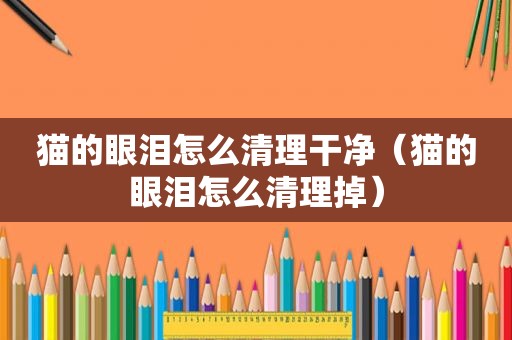 猫的眼泪怎么清理干净（猫的眼泪怎么清理掉）