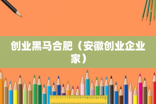 创业黑马合肥（安徽创业企业家）