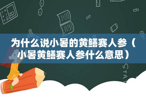为什么说小暑的黄鳝赛人参（小暑黄鳝赛人参什么意思）