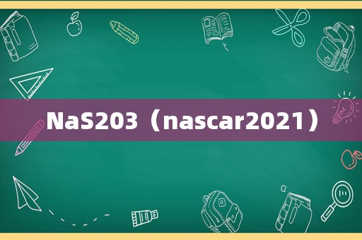 NaS203（nascar2021）