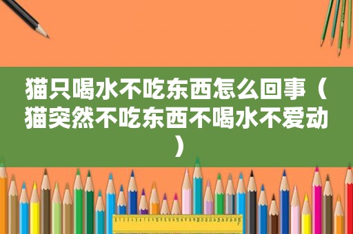 猫只喝水不吃东西怎么回事（猫突然不吃东西不喝水不爱动）
