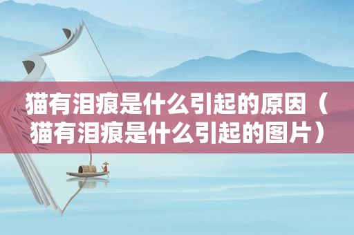 猫有泪痕是什么引起的原因（猫有泪痕是什么引起的图片）