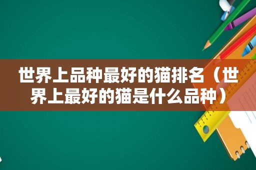 世界上品种最好的猫排名（世界上最好的猫是什么品种）