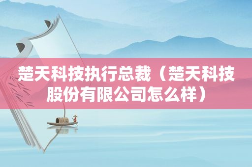 楚天科技执行总裁（楚天科技股份有限公司怎么样）