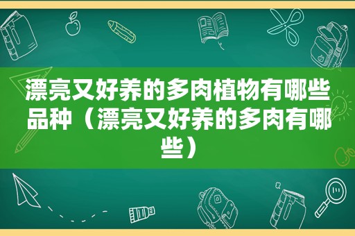 漂亮又好养的多肉植物有哪些品种（漂亮又好养的多肉有哪些）