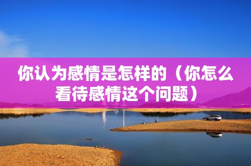 你认为感情是怎样的（你怎么看待感情这个问题）