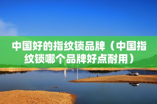 中国好的指纹锁品牌（中国指纹锁哪个品牌好点耐用）