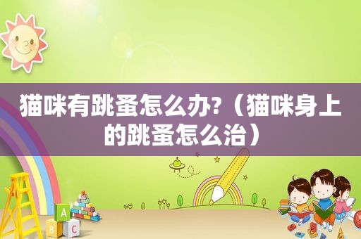 猫咪有跳蚤怎么办?（猫咪身上的跳蚤怎么治）