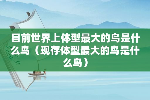 目前世界上体型最大的鸟是什么鸟（现存体型最大的鸟是什么鸟）