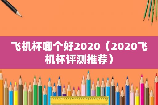 飞机杯哪个好2020（2020飞机杯评测推荐）