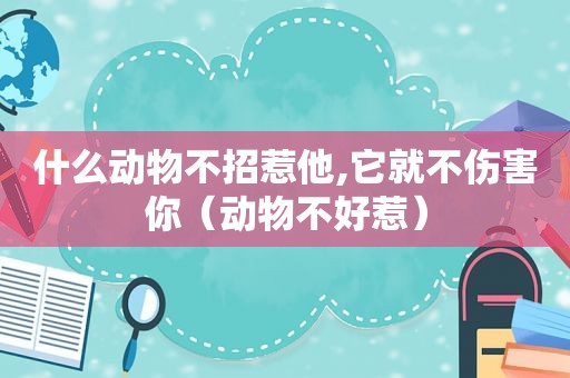 什么动物不招惹他,它就不伤害你（动物不好惹）