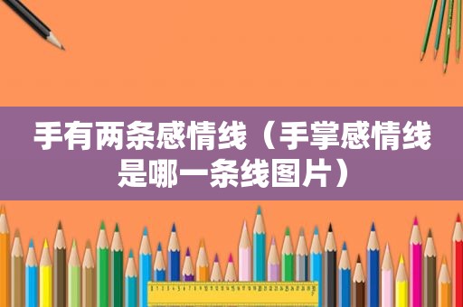 手有两条感情线（手掌感情线是哪一条线图片）