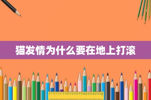 猫 *** 为什么要在地上打滚