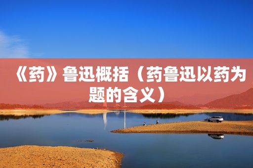 《药》鲁迅概括（药鲁迅以药为题的含义）