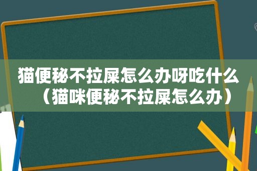 猫便秘不拉屎怎么办呀吃什么（猫咪便秘不拉屎怎么办）