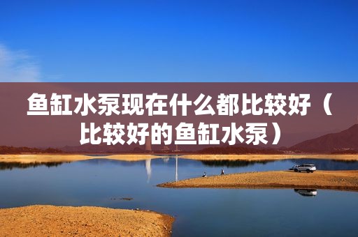 鱼缸水泵现在什么都比较好（比较好的鱼缸水泵）