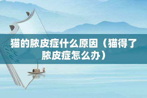猫的脓皮症什么原因（猫得了脓皮症怎么办）
