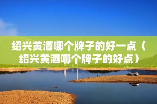 绍兴黄酒哪个牌子的好一点（绍兴黄酒哪个牌子的好点）