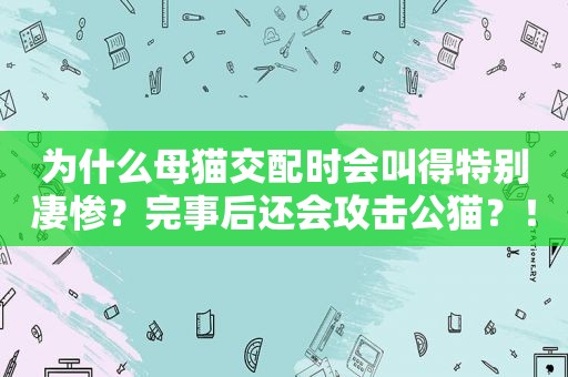 为什么母猫交配时会叫得特别凄惨？完事后还会攻击公猫？！
