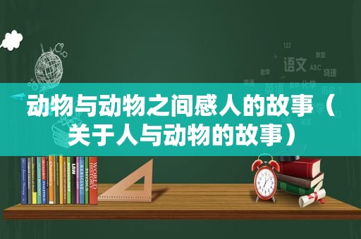 动物与动物之间感人的故事（关于人与动物的故事）