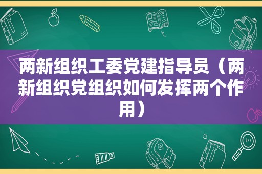 两新组织工委党建指导员（两新组织党组织如何发挥两个作用）