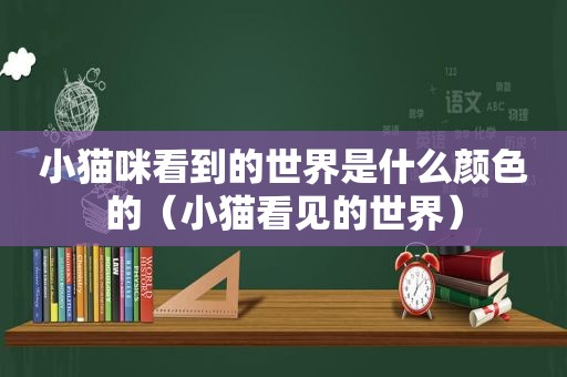 小猫咪看到的世界是什么颜色的（小猫看见的世界）