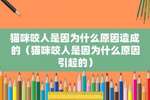 猫咪咬人是因为什么原因造成的（猫咪咬人是因为什么原因引起的）