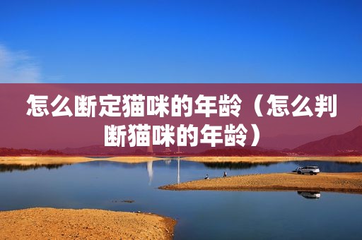 怎么断定猫咪的年龄（怎么判断猫咪的年龄）