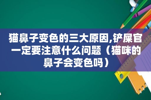 猫鼻子变色的三大原因,铲屎官一定要注意什么问题（猫咪的鼻子会变色吗）