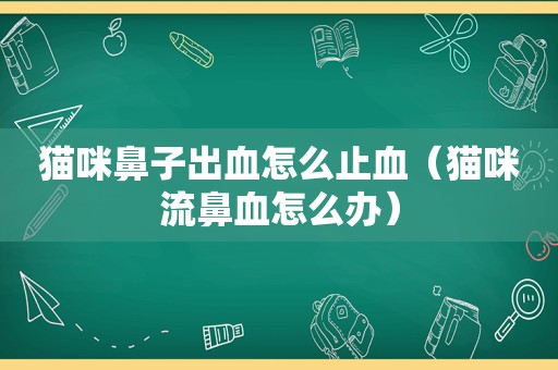 猫咪鼻子出血怎么止血（猫咪流鼻血怎么办）