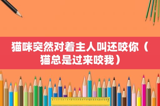 猫咪突然对着主人叫还咬你（猫总是过来咬我）